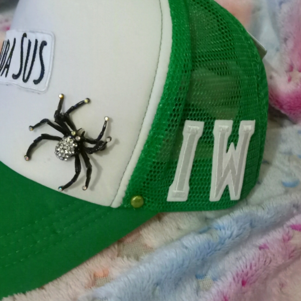 Custom or pre-made hats. Interchangeable attachments, pins and jewelry.